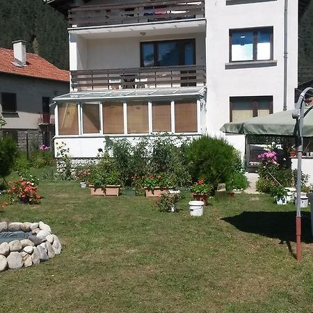 All Seasons Mountain Vistas Govedartsi Bagian luar foto