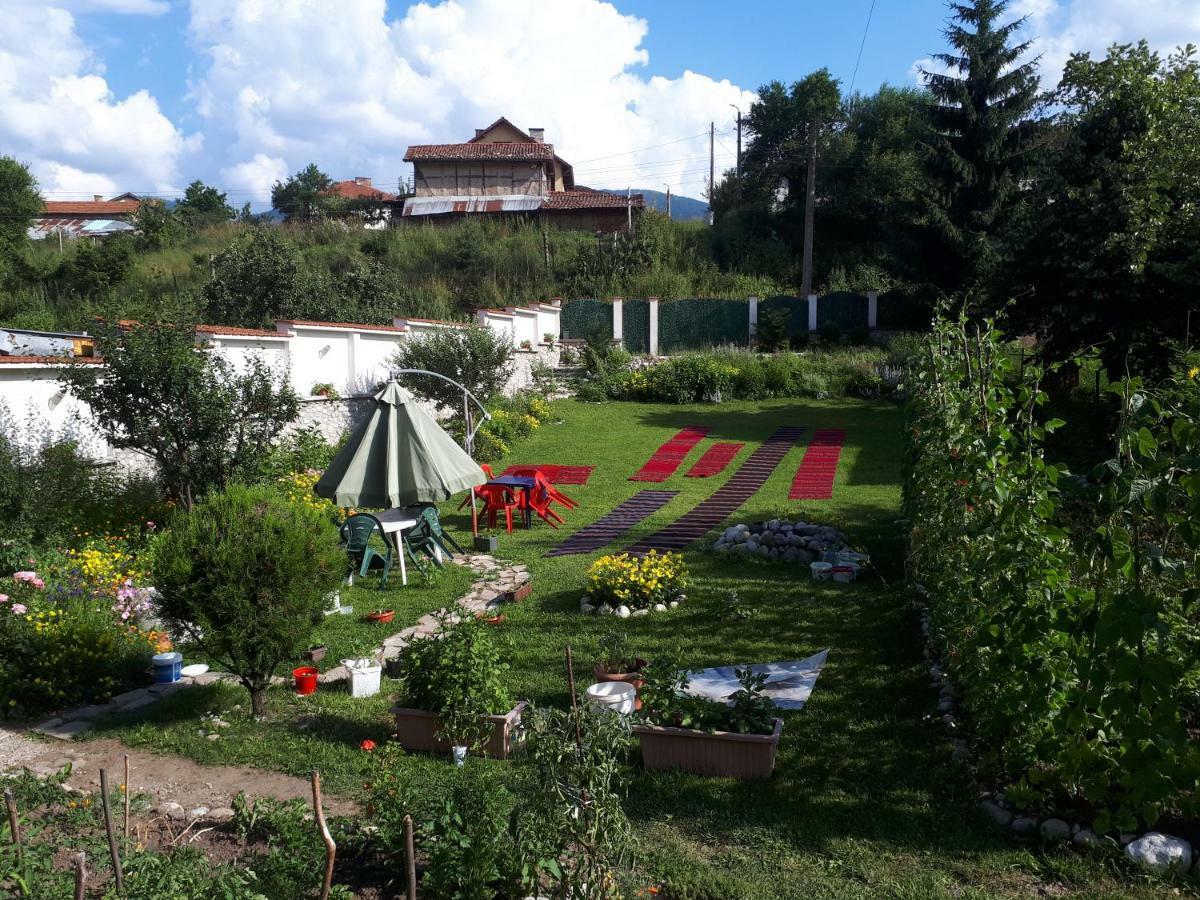 All Seasons Mountain Vistas Govedartsi Bagian luar foto
